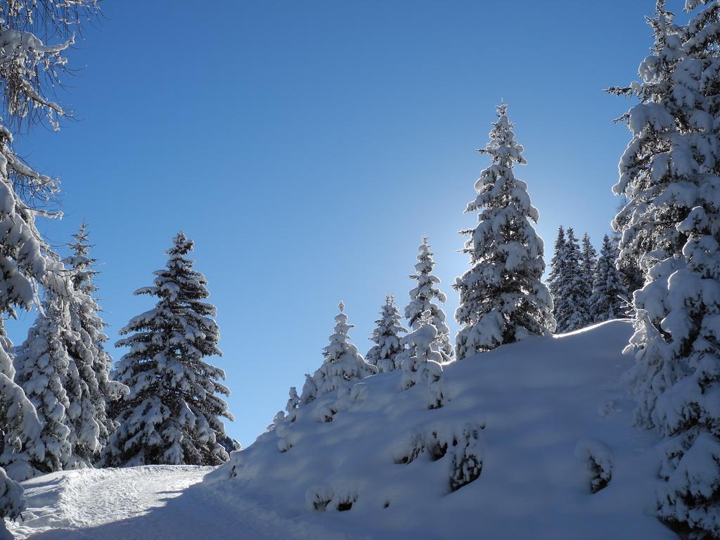 Shima-Davos Panzió Kültér fotó