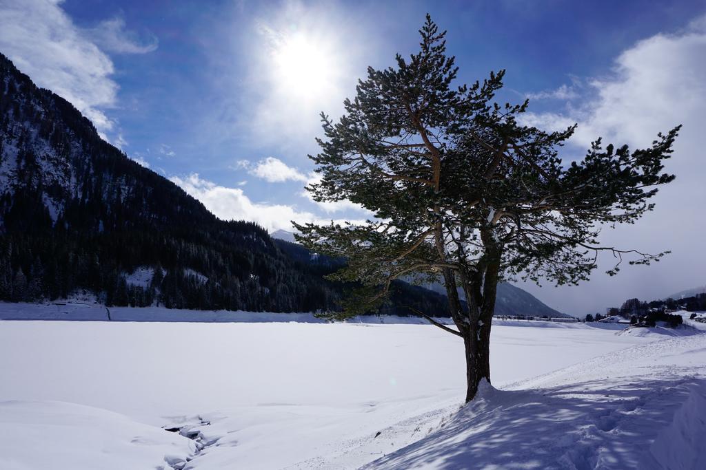 Shima-Davos Panzió Kültér fotó